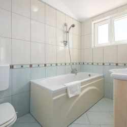 jpeg 123